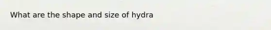 What are the shape and size of hydra