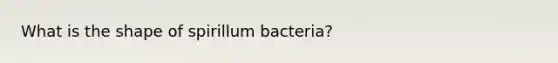 What is the shape of spirillum bacteria?