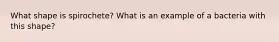 What shape is spirochete? What is an example of a bacteria with this shape?