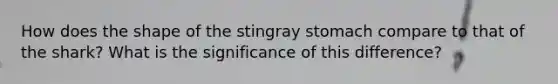 How does the shape of the stingray stomach compare to that of the shark? What is the significance of this difference?