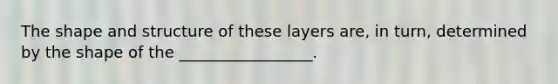 The shape and structure of these layers are, in turn, determined by the shape of the _________________.