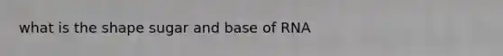 what is the shape sugar and base of RNA