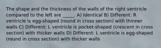 The shape and the thickness of the walls of the right ventricle compared to the left are _____. A) Identical B) Different: R ventricle is egg-shaped (round in cross section) with thinner walls C) Different: L ventricle is pocket-shaped (crescent in cross section) with thicker walls D) Different: L ventricle is egg-shaped (round in cross section) with thicker walls