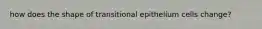 how does the shape of transitional epithelium cells change?