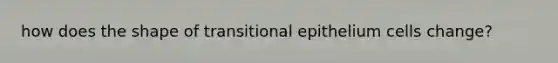 how does the shape of transitional epithelium cells change?