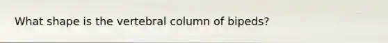 What shape is the vertebral column of bipeds?