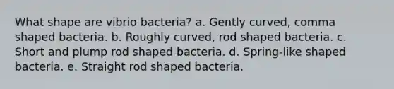 What shape are vibrio bacteria? a. Gently curved, comma shaped bacteria. b. Roughly curved, rod shaped bacteria. c. Short and plump rod shaped bacteria. d. Spring-like shaped bacteria. e. Straight rod shaped bacteria.