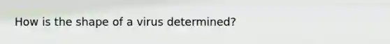 How is the shape of a virus determined?