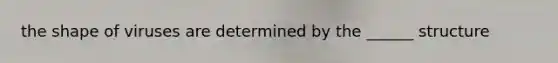 the shape of viruses are determined by the ______ structure