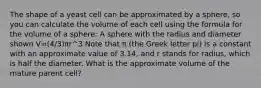 The shape of a yeast cell can be approximated by a sphere, so you can calculate the volume of each cell using the formula for the volume of a sphere: A sphere with the radius and diameter shown V=(4/3)πr^3 Note that π (the Greek letter pi) is a constant with an approximate value of 3.14, and r stands for radius, which is half the diameter. What is the approximate volume of the mature parent cell?