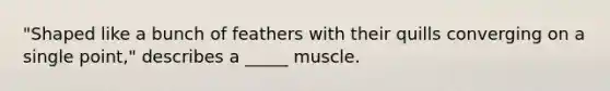 "Shaped like a bunch of feathers with their quills converging on a single point," describes a _____ muscle.