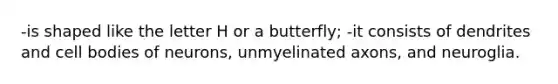 -is shaped like the letter H or a butterfly; -it consists of dendrites and cell bodies of neurons, unmyelinated axons, and neuroglia.