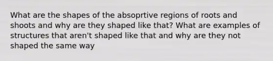 What are the shapes of the absoprtive regions of roots and shoots and why are they shaped like that? What are examples of structures that aren't shaped like that and why are they not shaped the same way