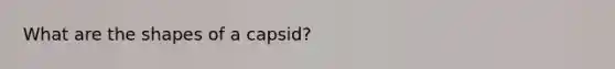 What are the shapes of a capsid?