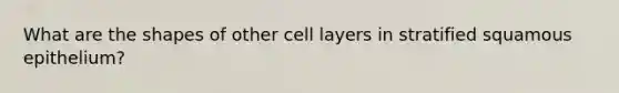 What are the shapes of other cell layers in stratified squamous epithelium?