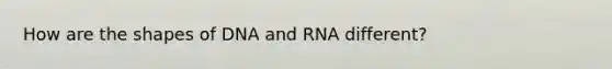 How are the shapes of DNA and RNA different?