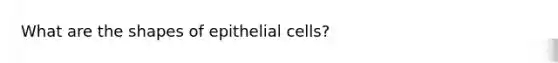 What are the shapes of epithelial cells?