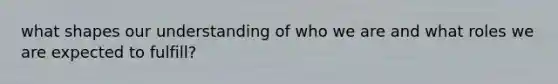 what shapes our understanding of who we are and what roles we are expected to fulfill?