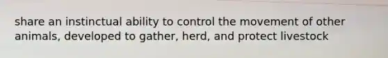 share an instinctual ability to control the movement of other animals, developed to gather, herd, and protect livestock