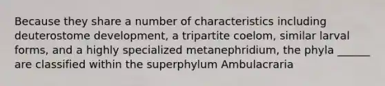 Because they share a number of characteristics including deuterostome development, a tripartite coelom, similar larval forms, and a highly specialized metanephridium, the phyla ______ are classified within the superphylum Ambulacraria