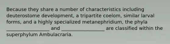 Because they share a number of characteristics including deuterostome development, a tripartite coelom, similar larval forms, and a highly specialized metanephridium, the phyla __________________ and __________________ are classified within the superphylum Ambulacraria.