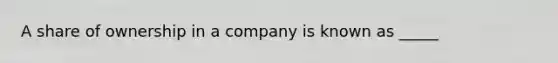 A share of ownership in a company is known as _____