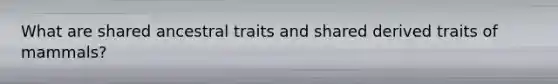 What are shared ancestral traits and shared derived traits of mammals?