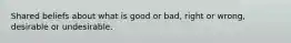 Shared beliefs about what is good or bad, right or wrong, desirable or undesirable.