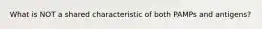 What is NOT a shared characteristic of both PAMPs and antigens?