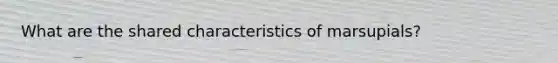 What are the shared characteristics of marsupials?