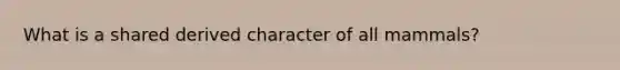 What is a shared derived character of all mammals?