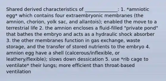 Shared derived characteristics of ______________: 1. *amniotic egg* which contains four extraembryonic membranes (the amnion, chorion, yolk sac, and allantois); enabled the move to a terrestrial life 2. the amnion encloses a fluid-filled "private pond" that bathes the embryo and acts as a hydraulic shock absorber 3. the other membranes function in gas exchange, waste storage, and the transfer of stored nutrients to the embryo 4. amnion egg have a shell (calcerous/inflexible, or leathery/flexible); slows down dessication 5. use *rib cage to ventilate* their lungs; more efficient than throat-based ventilation