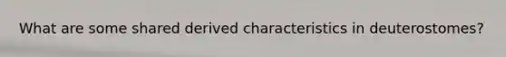 What are some shared derived characteristics in deuterostomes?