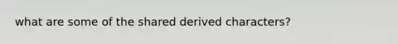 what are some of the shared derived characters?