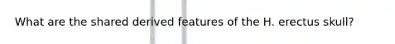 What are the shared derived features of the H. erectus skull?