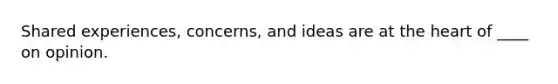 Shared experiences, concerns, and ideas are at the heart of ____ on opinion.