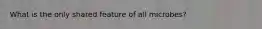 What is the only shared feature of all microbes?