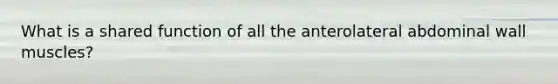 What is a shared function of all the anterolateral abdominal wall muscles?