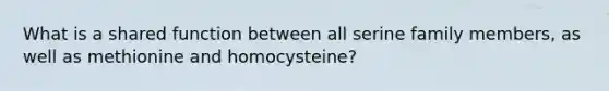 What is a shared function between all serine family members, as well as methionine and homocysteine?