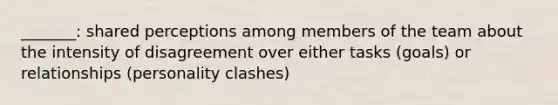 _______: shared perceptions among members of the team about the intensity of disagreement over either tasks (goals) or relationships (personality clashes)