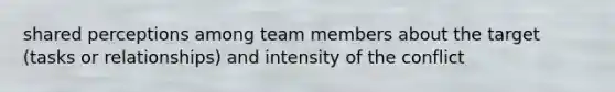 shared perceptions among team members about the target (tasks or relationships) and intensity of the conflict