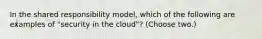 In the shared responsibility model, which of the following are examples of "security in the cloud"? (Choose two.)