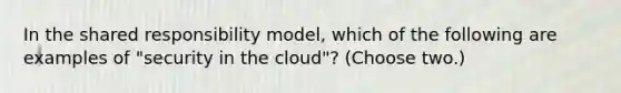 In the shared responsibility model, which of the following are examples of "security in the cloud"? (Choose two.)