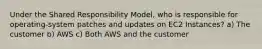 Under the Shared Responsibility Model, who is responsible for operating-system patches and updates on EC2 Instances? a) The customer b) AWS c) Both AWS and the customer