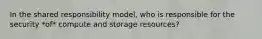 In the shared responsibility model, who is responsible for the security *of* compute and storage resources?