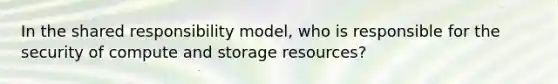 In the shared responsibility model, who is responsible for the security of compute and storage resources?