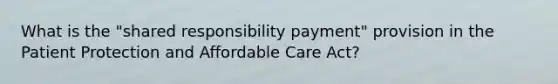 What is the "shared responsibility payment" provision in the Patient Protection and Affordable Care Act?