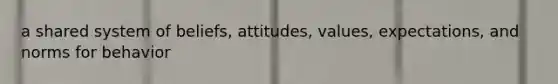 a shared system of beliefs, attitudes, values, expectations, and norms for behavior