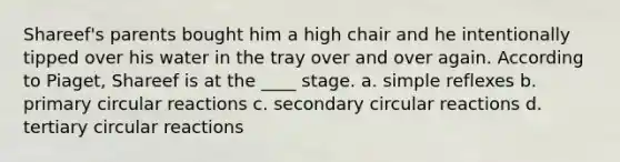 Shareef's parents bought him a high chair and he intentionally tipped over his water in the tray over and over again. According to Piaget, Shareef is at the ____ stage. a. simple reflexes b. primary circular reactions c. secondary circular reactions d. tertiary circular reactions