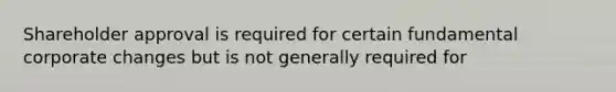 Shareholder approval is required for certain fundamental corporate changes but is not generally required for